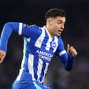 Brighton striker Stefanos Tzimas is making progress