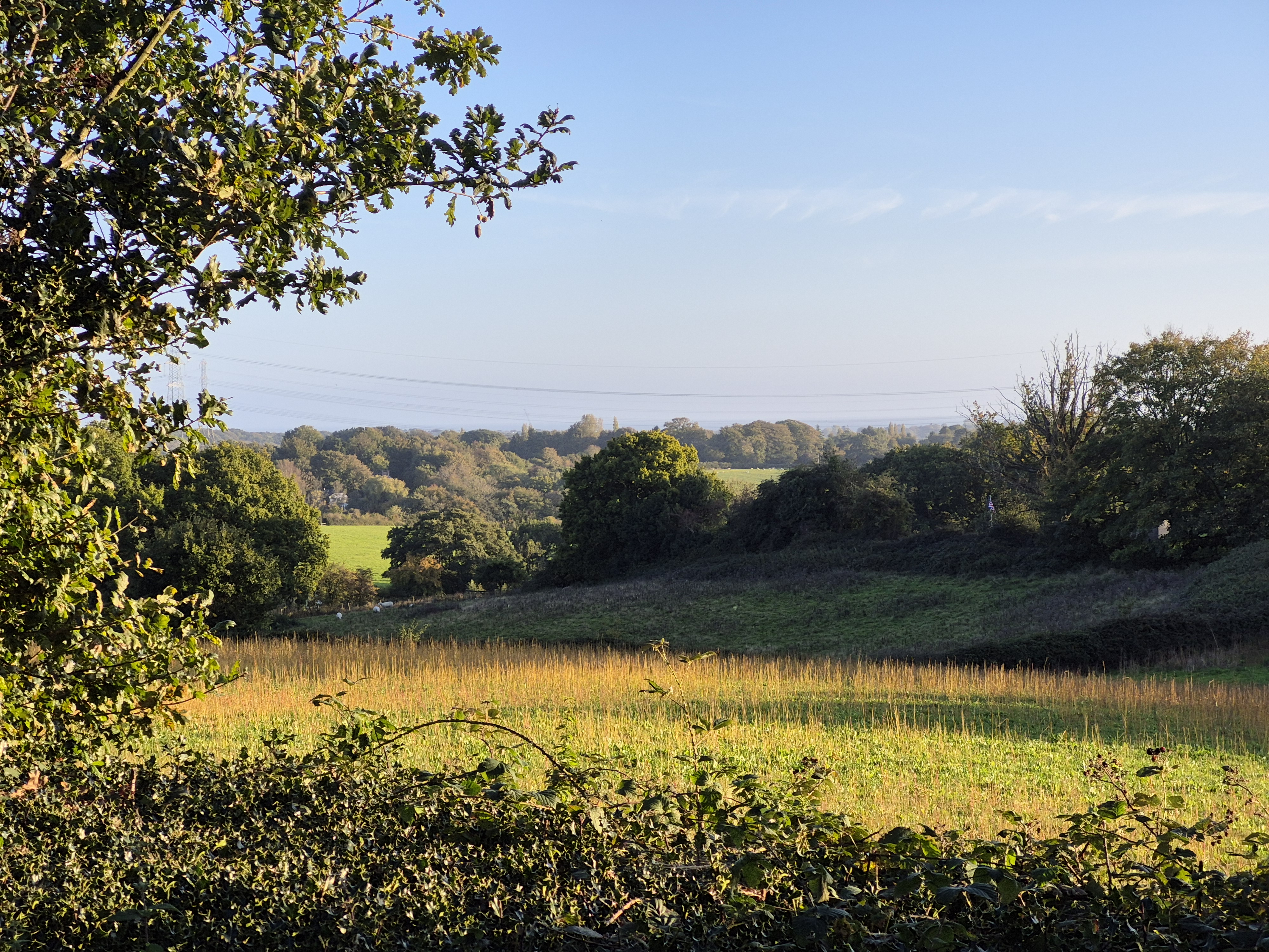 Ninfield and Hooe Village Voice