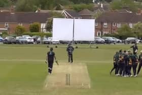Little Common celebrate the final wicket of a famous win