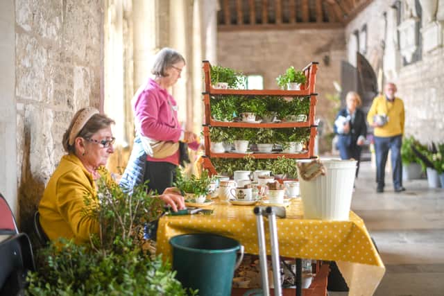 Behind the scenes at the Festival of Flowers