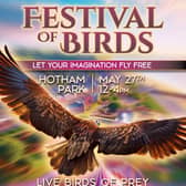Book Day 2026 - Festival of Birds