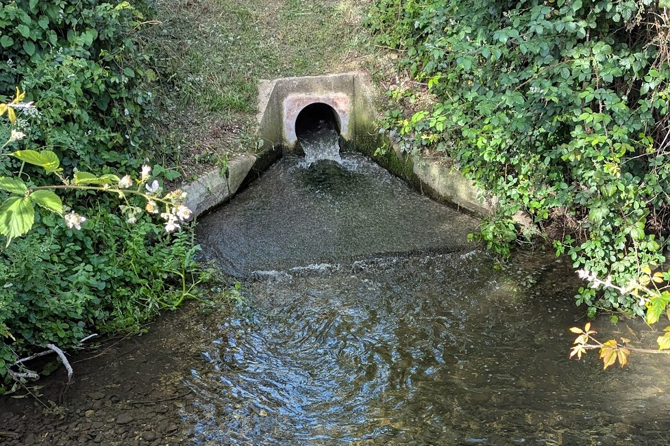 Citizen scientists say Lavant is a ‘poisonous river’
