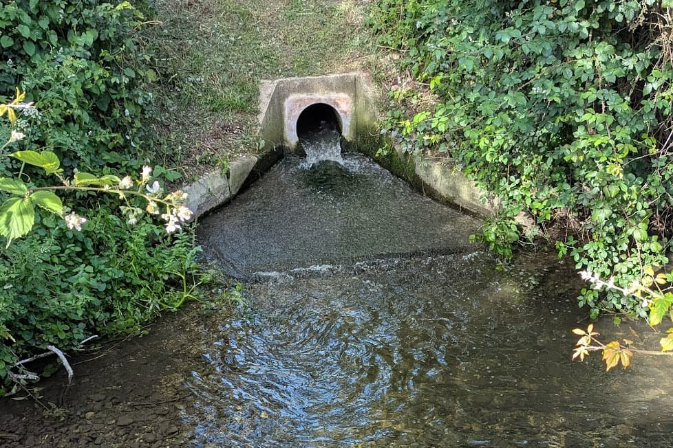 Citizen scientists say Lavant is a ‘poisonous river’
