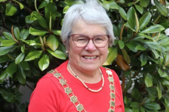 Councillor Clare Apel, who has been Chair of Chichester District Council since 2023, was appointed an MBE for services to the voluntary sector, to local government and to Holocaust education.