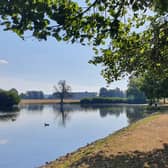 The upper pond at Petworth Park