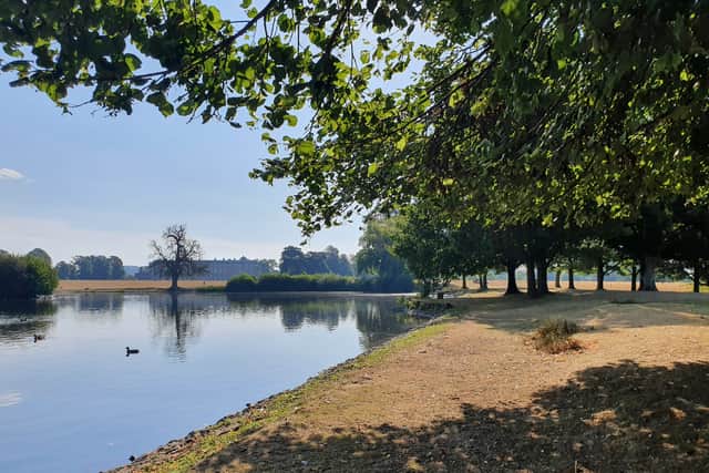 The upper pond at Petworth Park