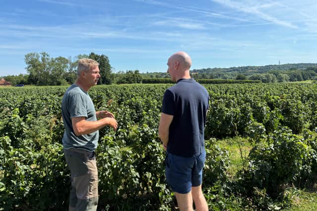 Dr Kieran Mullan MP visit local farm for Blackcurrant Harvest