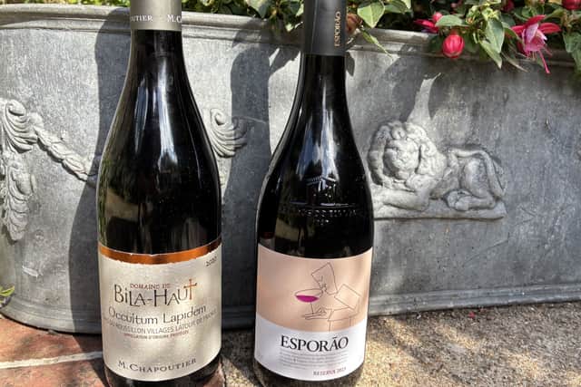 Delicious European Organic Reds
