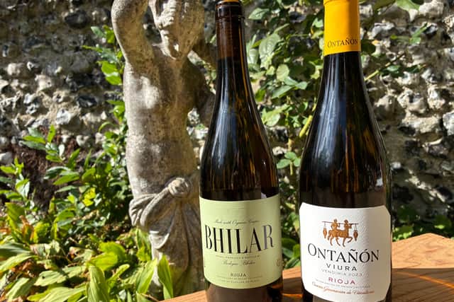 Modern Organic and Sustainable White Rioja