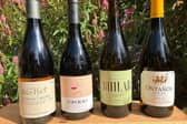 Organic and Sustainable Wines to help our planet
