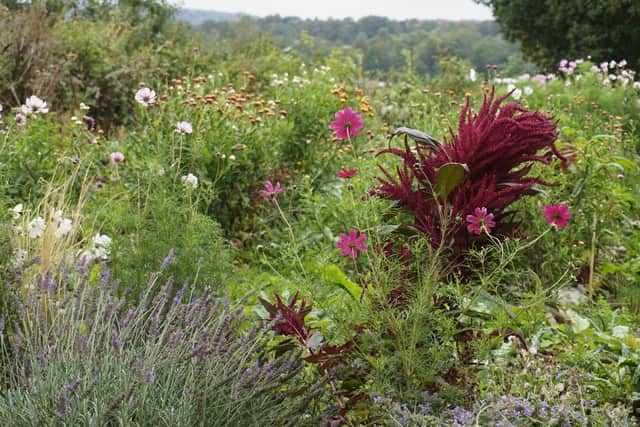 The Ramshackle Garden in Easebourne.