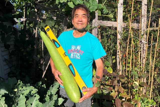 A Snake Gourd