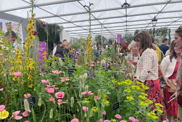 Many of the sellers are RHS Chelsea medal winners