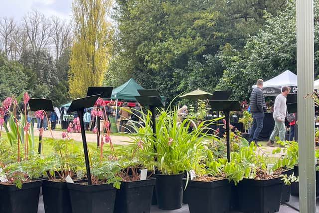 The sellers bring rare and unusual plants to their fairs