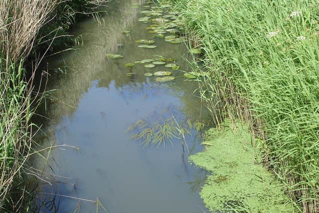 The Combe Haven at one of the water quality monitoring sites