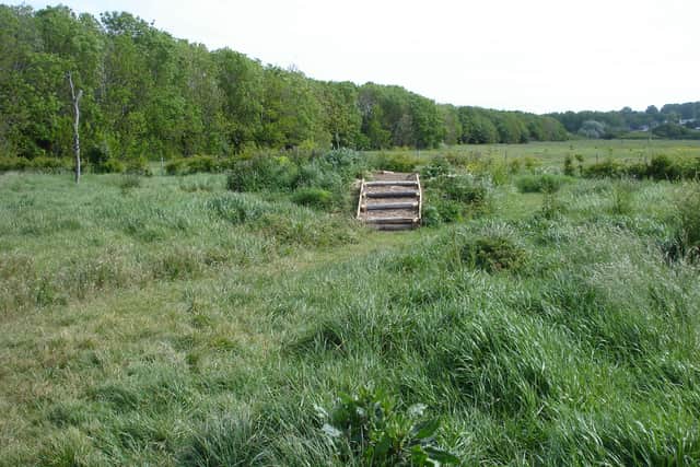 Communal Meadow and Earth Mount before the drought