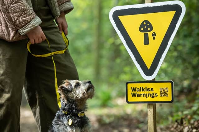 Ruff Season: Dogs Trust Launches ‘Walkies Warning Signs’ as two in ...