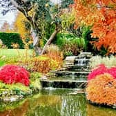 Merriments open day this autumn