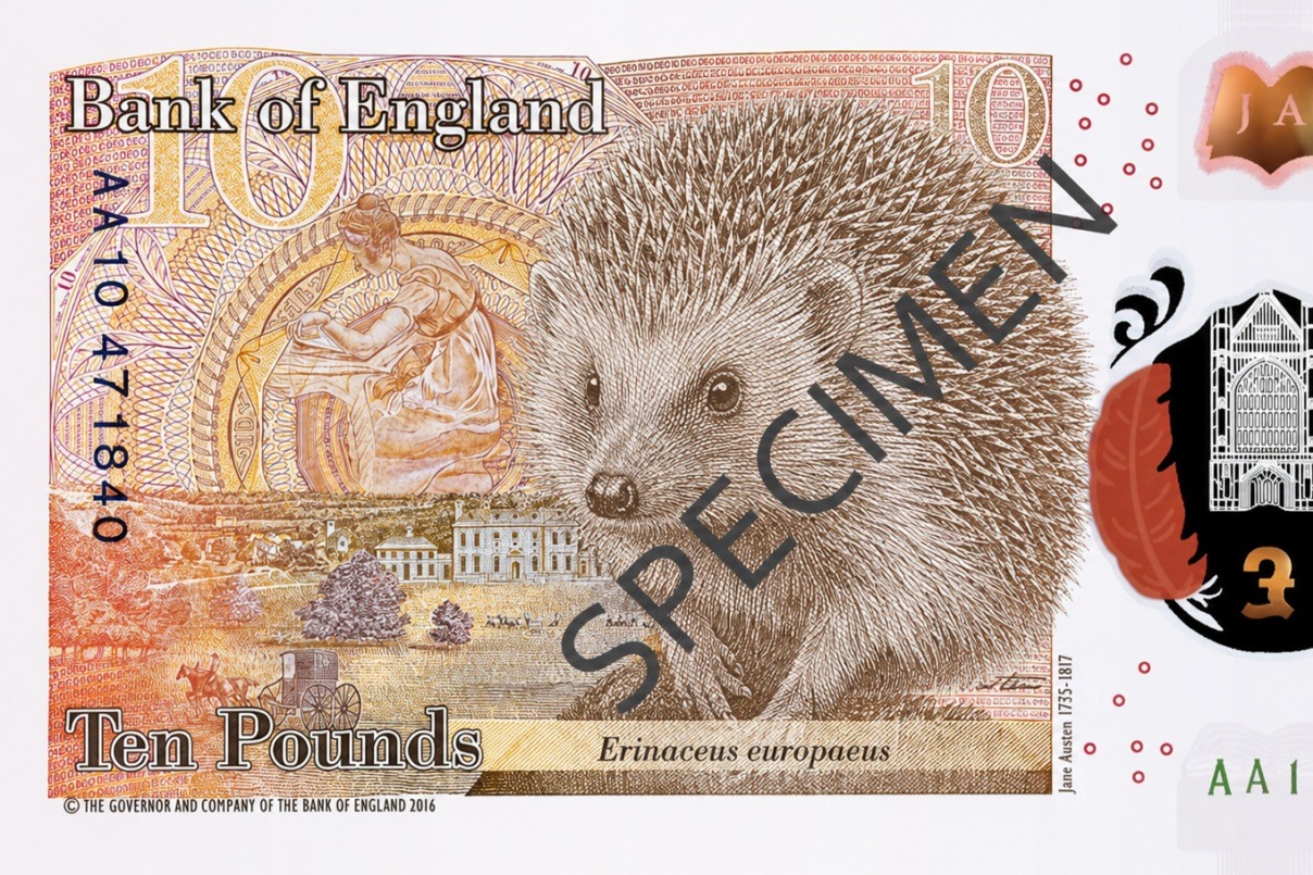 Britain’s favourite spiny mammal set to appear on new Bank of England notes