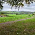 The newly opened sections passes through Wellhanger Copse and offers sweeping views across the valley towards Goodwood Racecourse.
