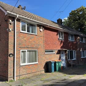 AUCTION: Aurore at The Mardens, Ifield