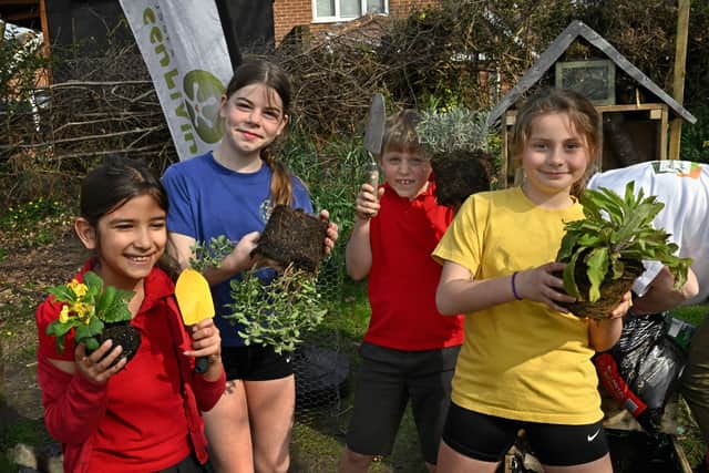 Midhurst Primary School pupils helping with planting