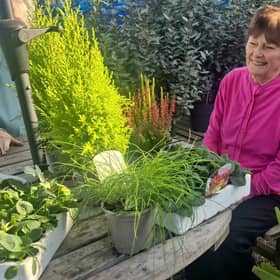 Val helping to choose winter vegetables for our allotment 