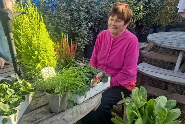 Val helping to choose winter vegetables for our allotment 
