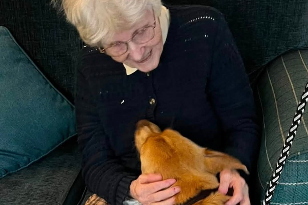 Uckfield care home welcomes pets as therapy visit
