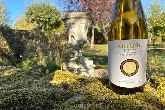 Arioso Vermentino 2025 from Tuscany
