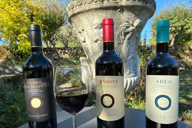 Outstanding Supertuscan wines