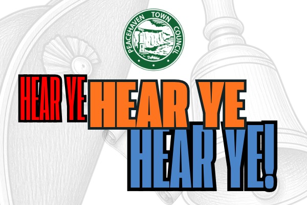 Hear ye, hear ye! Peacehaven on the hunt for a town crier