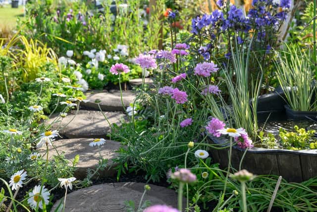 Detail from the Beautiful Borders at the BBC Gardeners' World Spring Fair 2026