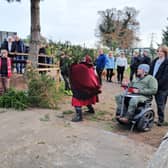 Sussex Christmas Tree Fling