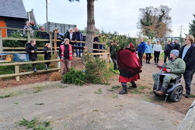 Sussex Christmas Tree Fling