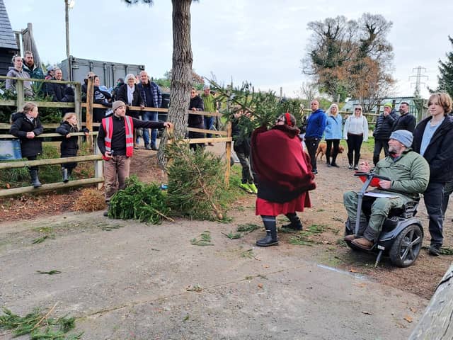 Sussex Christmas Tree Fling
