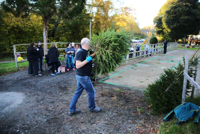 Sussex Christmas Tree Fling