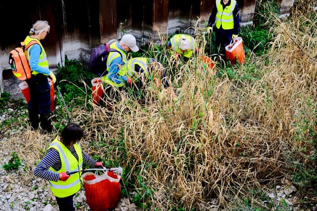 Volunteers litter picking in the river lavant