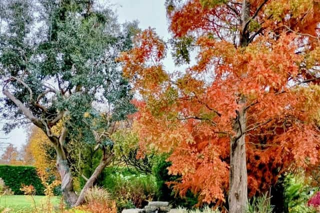 Autumn Colour and Pumpkin Trail at Merriments