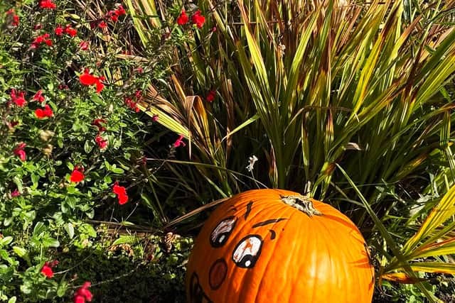 Pumpkin Trail at Merriments from 26 October 2026