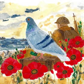 The First Messenger by Michelle Rose, honouring Gustav, the RAF pigeon who carried the first news of D-Day in June 1944.