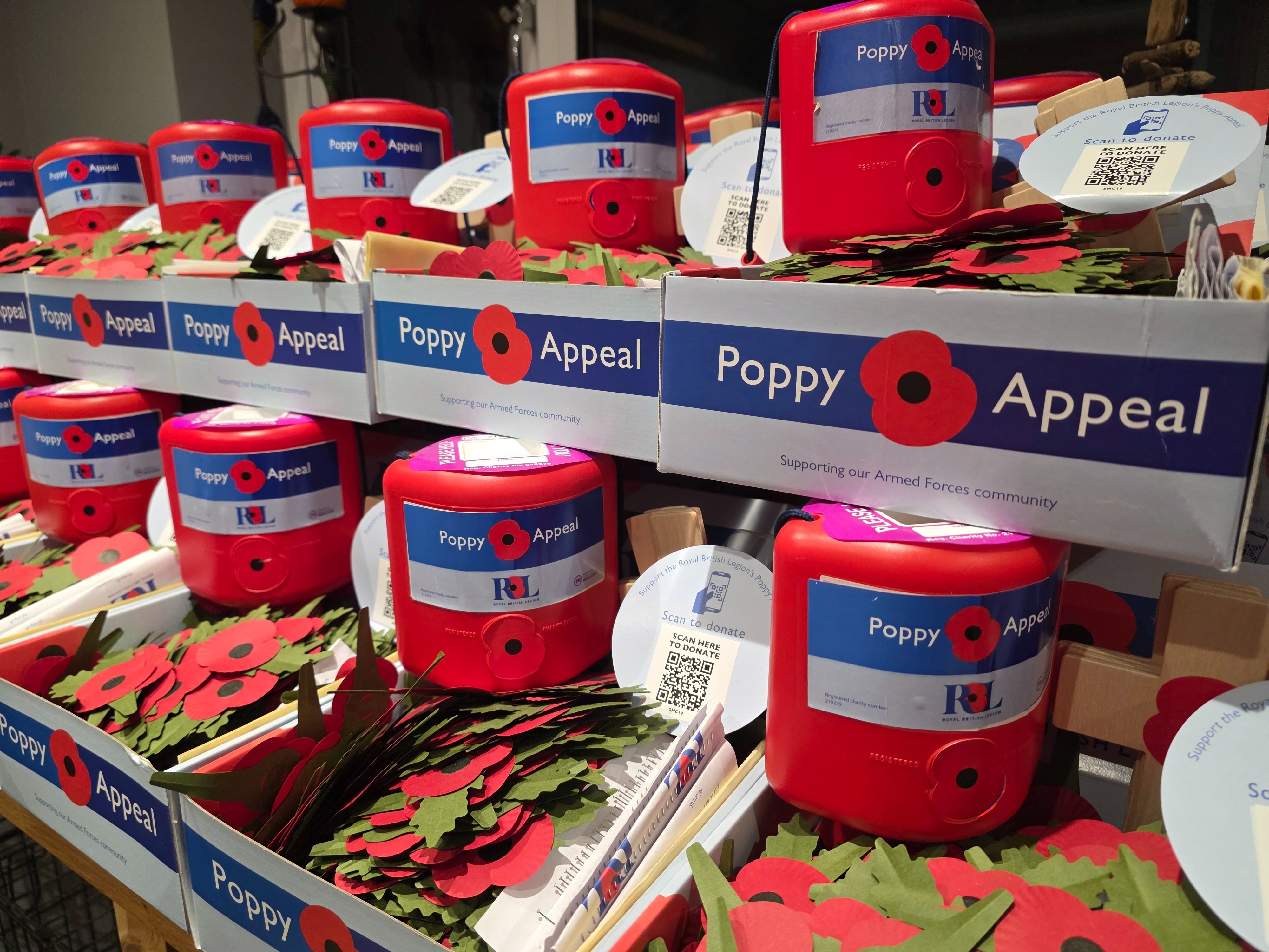 Selsey Poppy Appeal officially launches as more than 170 poppies honour ...