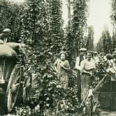 hop picking ...back in the day!