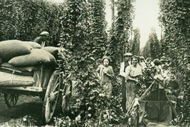 hop picking ...back in the day!