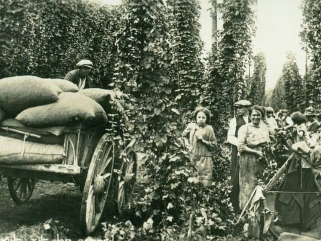 hop picking ...back in the day!