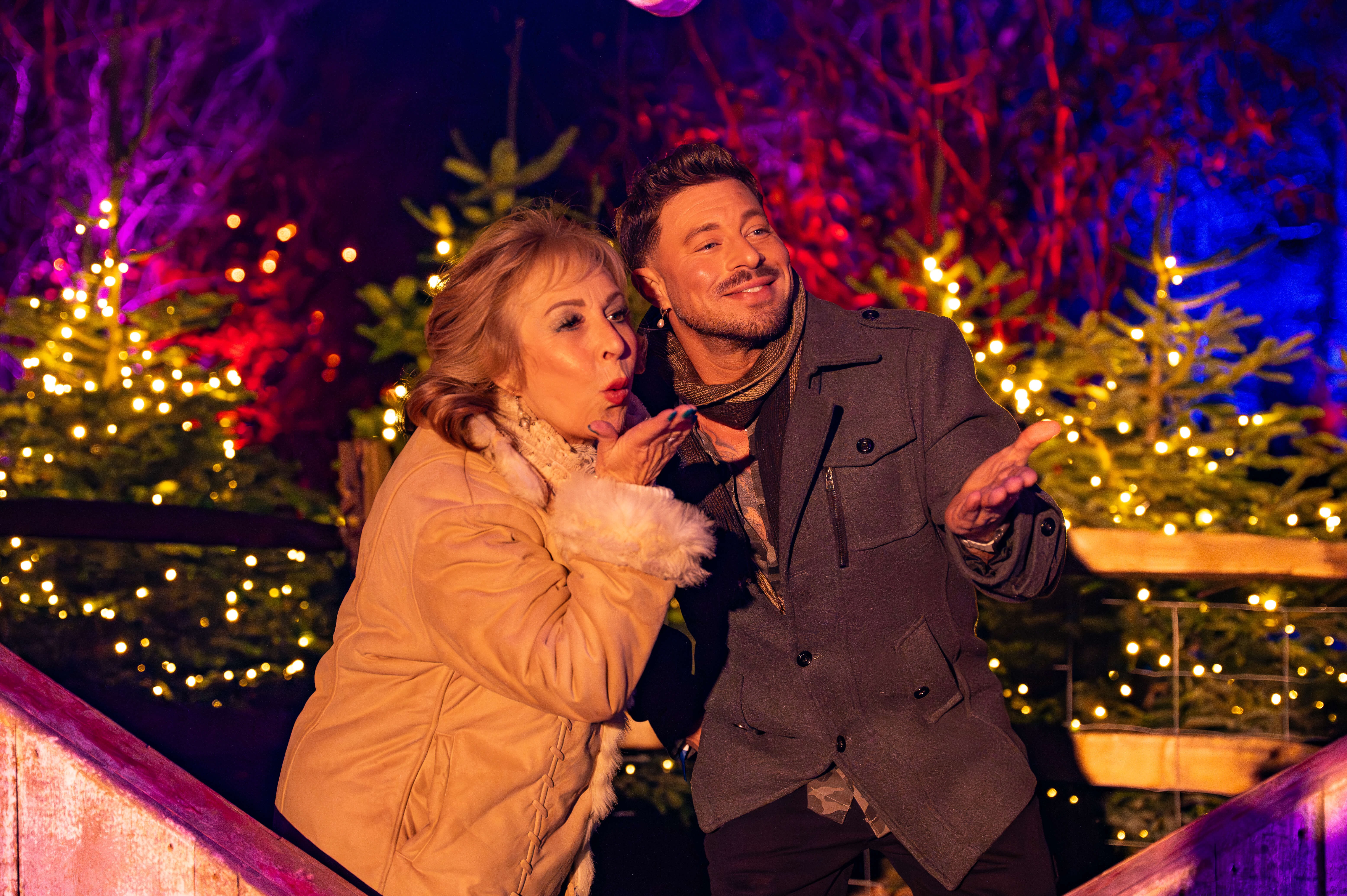 Popular Sussex Christmas light festival near Crawley announces biggest ...