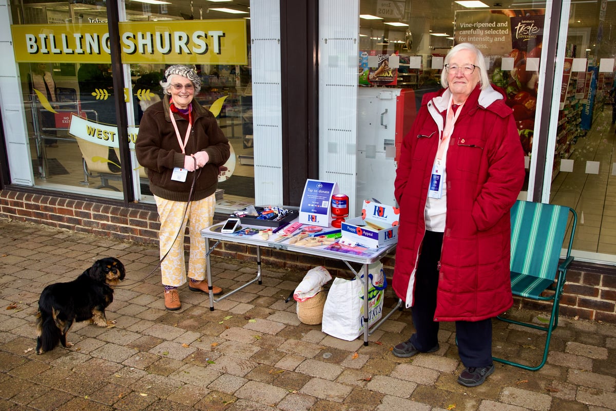 Billingshurst: wear your poppy with pride