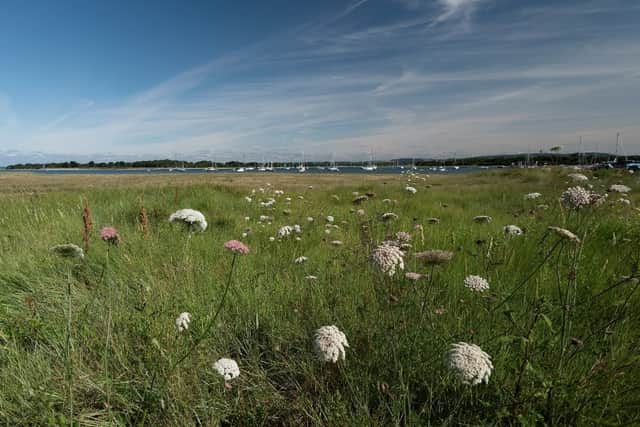 Saltmarsh restoration in Chichester Harbour