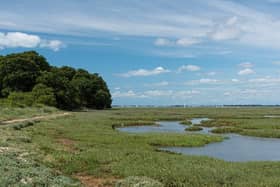Saltmarsh in Chichester Harbour