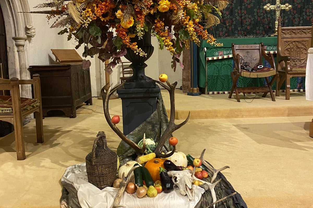 Winchelsea Village Voice